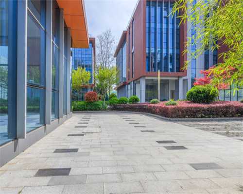 每只上千元，赚钱“有门道”，鲁山县山村夫妻专卖“小羊羔”