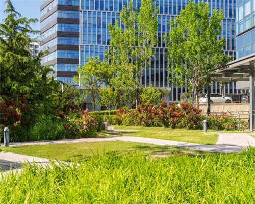 从8楼掉到车顶上的猫咪，虽然摔断了腿和牙，但它仍勇敢直面困难