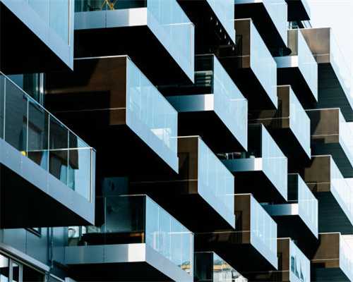 狗狗“晕车”怎么办？试试这几个方法