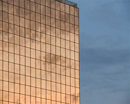 一岁半的小博美受到惊吓后，趴在地上发颤，原来是心脏疾病在作怪