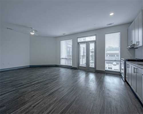 平时想带猫出去遛弯，需要铲屎官为它做好四点准备