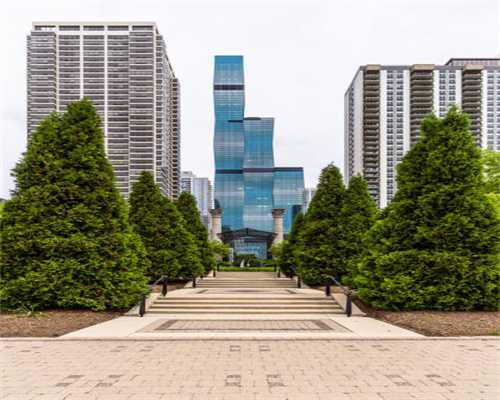 辟谣：爱宠不爱吃就是不好？宠物食品的适口性可是一门“玄学”