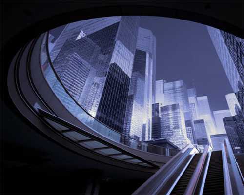 短腿的进击：腿短又可爱的不只柯基，这些短腿猫也吸粉无数