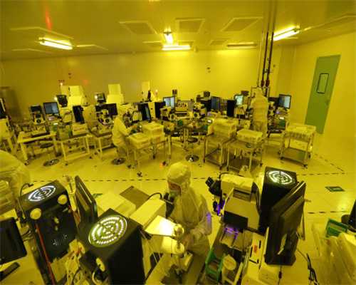 黑色狗狗不吉利？不仅可以辟邪，而且还能让铲屎官更加省钱呢