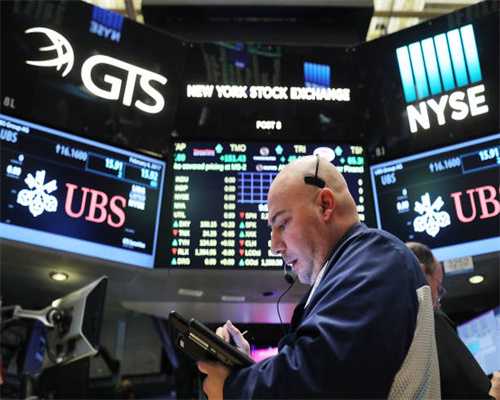 福豆：带着被车撞到呼吸停止的奶猫，我们换了三家医院