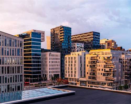 猫咪有这些行为｜说明它已经被你养熟了