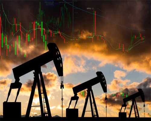 怂恿我养“喜乐蒂”的朋友，真是害惨我了