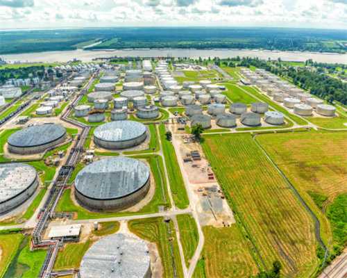 狗狗向你表现出来的求救信号