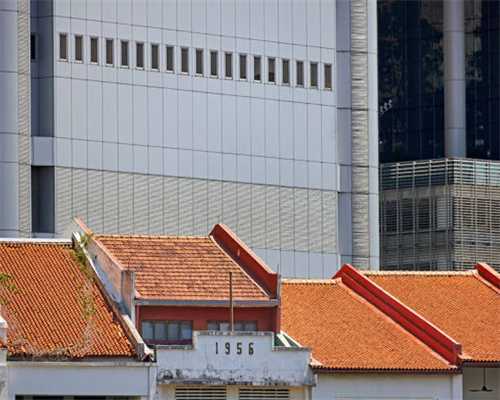 开心！狗狗向主人示好的几种方式，我家狗都占了