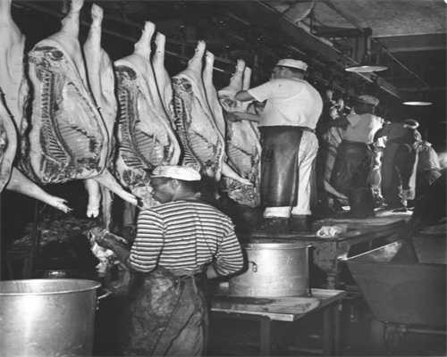 记录已经远去的狗狗-小黄（之三）