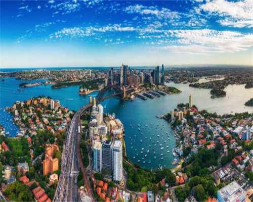 关于我治好了猫传腹这件事，所有人都没想到