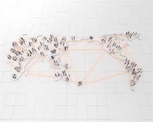 收藏这篇宠物呕吐科普，危急时刻能救喵汪一命