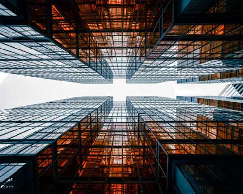 笑岔气：狗崽穿鞋、走路滑稽，四脚不听使唤、各走各的 