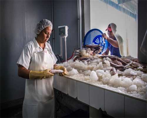 全身带刺晚上发光 株洲现“变色龙”大蜥蜴