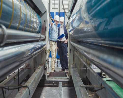 《寻找Gobi》-一只被英国女王接见的新疆流浪狗