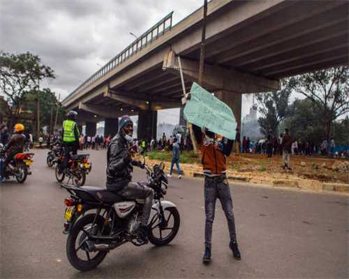 教你如何轻松治疗猫藓？认清猫藓才能更好地治疗