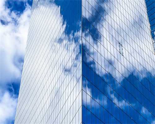 猫咪便秘，喂食拜可舒真的有用吗？