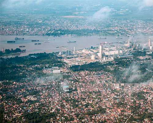 盘点最“爱八卦”的狗子！网友：原来狗也会吃瓜？