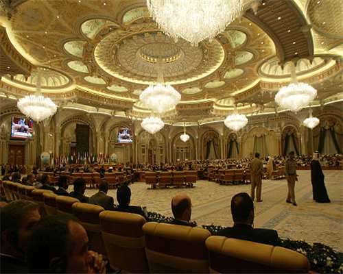 住手！别再用这些方式遛比熊了，你是在害它