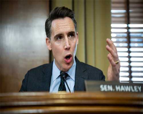 投喂狗狗别只知道狗粮，这些辅食，价格低营养高