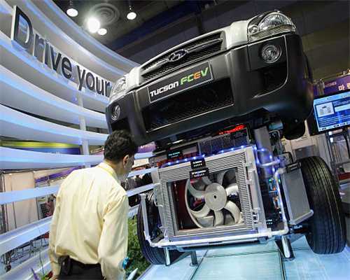 在家怎么制作狗粮？