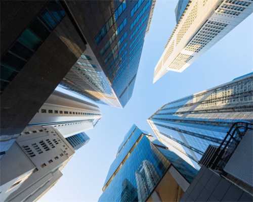 带狗狗跑步，其实不是想跑就能跑，先为狗狗准备好这些