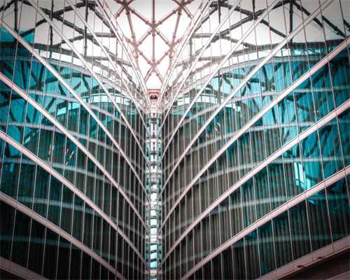 养猫人一定要知道的宝藏猫粮