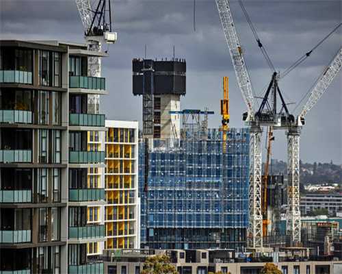 去花鸟市场，50块钱买只小土猫，养大以后，邻居们都直呼我赚大了