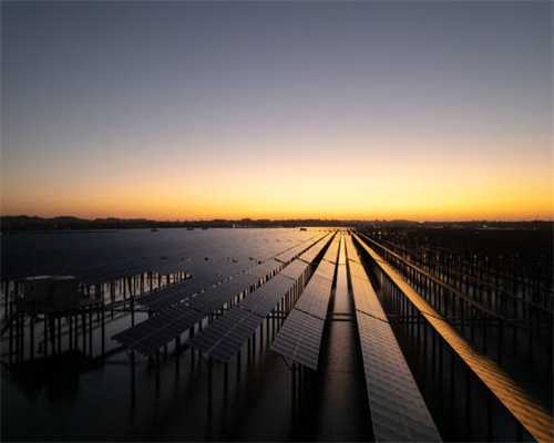 狗狗掉毛太严重，可能是出现了这些“毛病”