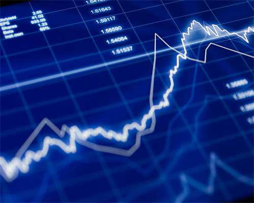 给猫穿鞋八天未脱致其四肢溃烂，主人：我怕被猫挠...