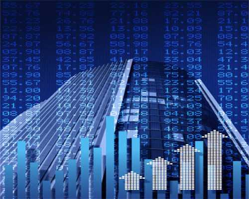 你永远想不到，你能从狗肚子里找出什么……