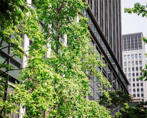 养猫必看，猫为什么有时候会叽叽地细声叫