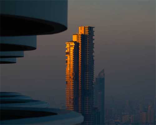 猫有口臭怎么办？张嘴臭味熏天不用急！5招教你甩掉“重口味”