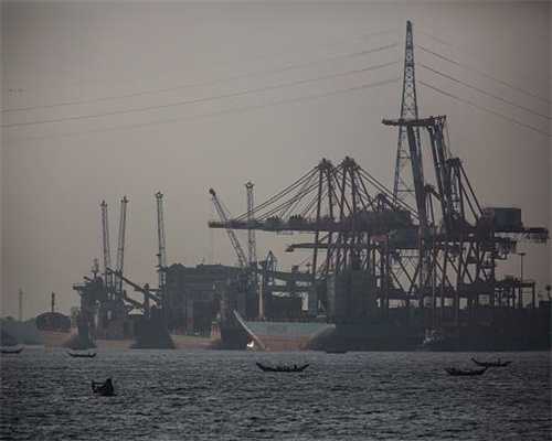 自制狗狗立耳贴 自己做立耳贴是不是很有成就感？