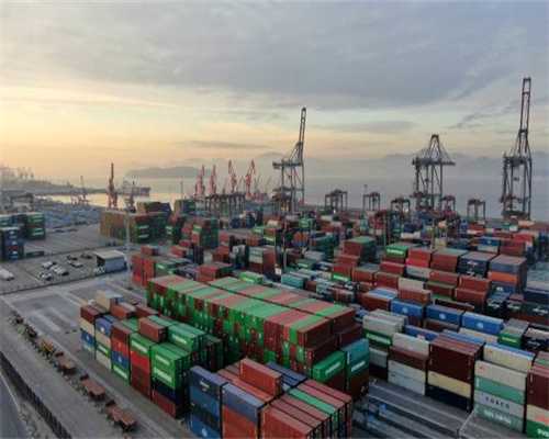 猫咪食欲不振怎么办？十年养猫经验，良心推荐这5招