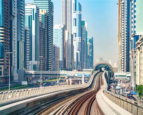 猫咪美毛一定要吃生骨肉？猫用卵磷脂了解一下