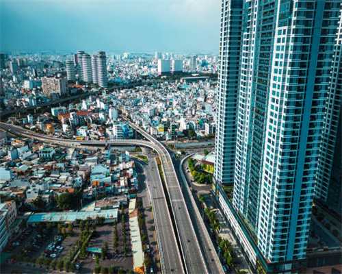 猫草和化毛膏，哪个对猫咪的毛球有用？