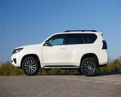 养乌龟，一般都给乌龟吃什么？