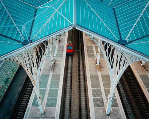 猫咪可以吃什么水果？可以吃蓝莓吗？