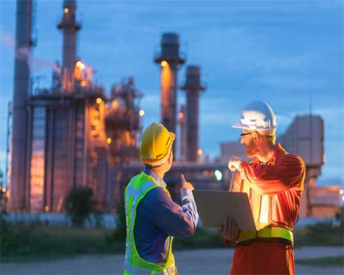 关于养小狗狗的一些事