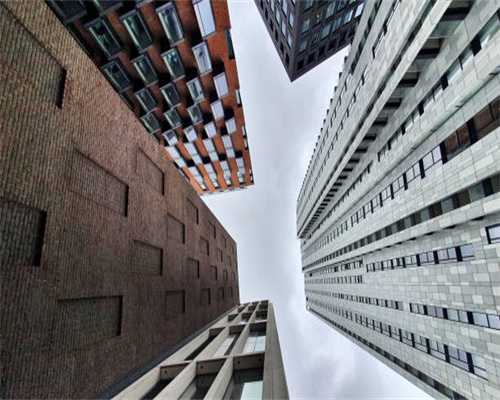 猫咪的繁殖障碍（不孕不育）表现在哪些地方？该怎么办？