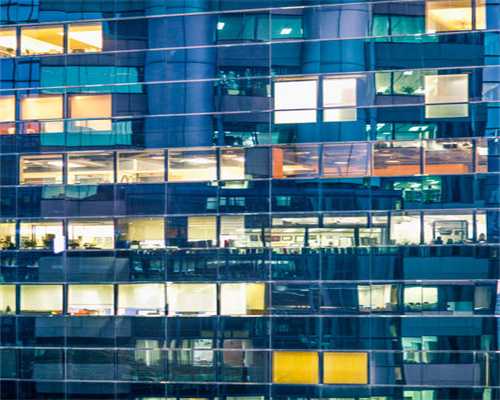 小型猫有哪些品种？小型猫怎么养？