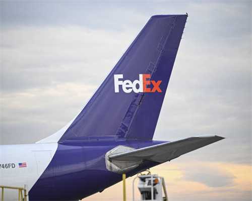 金毛拉布拉多等大狗要注意的一件事