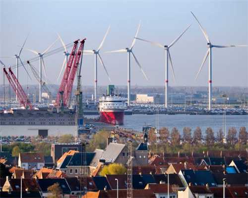 狗狗抽搐是震颤还是癫痫？癫痫与震颤的区分、先兆及发病处理