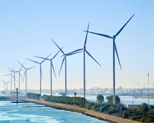 戈赞：养狗多年狗狗的这些小动作你都知道吗？