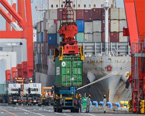 路遇“恶犬”，千万别慌，可以打这几个部位自救