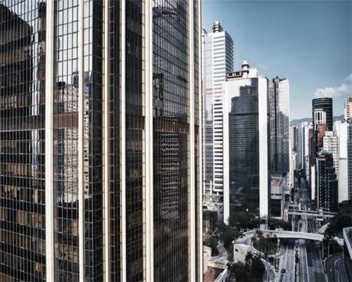 新手养猫注意了！你是不是也给猫咪买了这种东西