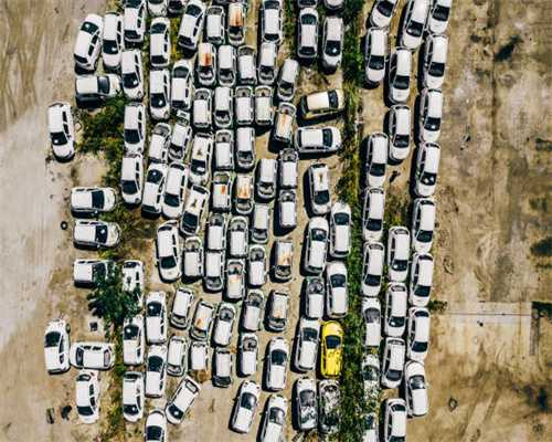 狗狗流黄鼻涕拉稀怎么办