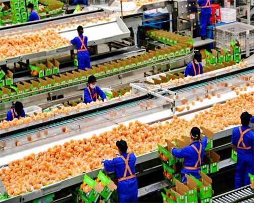 狗狗呕吐、拉稀，我们该如何正确选择宠物医院各式各样的化验呢