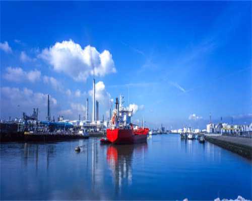 你家泰迪长期吃太咸，你知道会有什么后果吗？